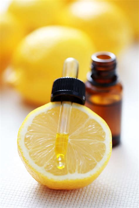 Exploring the Culinary Uses of Citrus Magic Lemon in Home Cooking